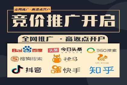 成功SEM服务案例：优化广告投放